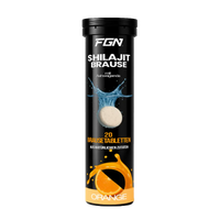 FGN Shilajit 20 Brausetabletten